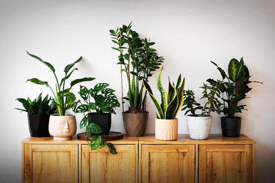 Pharande-Spaces-Blog-Image-2