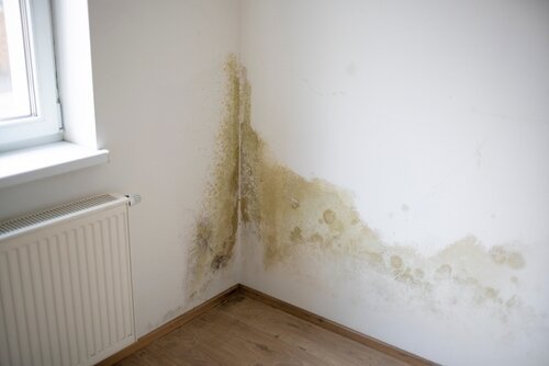 how-to-prevent-dampness-in-wall2