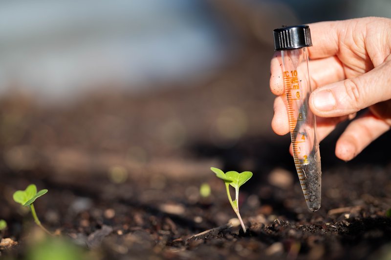 scientist-researcher-studying-soil-forest-health-effects-from-climate-change-university-student-research-bush-soil-structure-biology-diversity-holding-soil-sample-hand-min